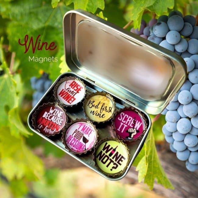 wine magnet gift set
